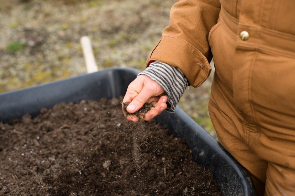 Photo Garden soil