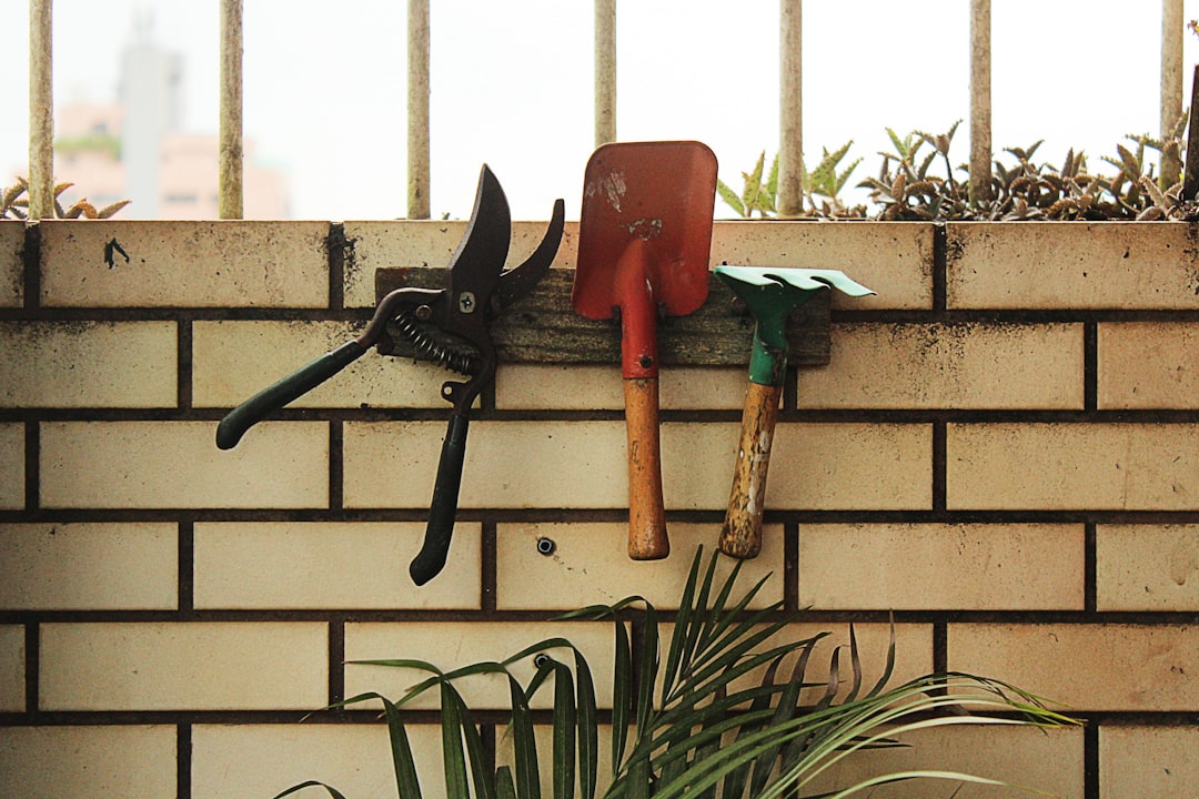 Photo Garden tools