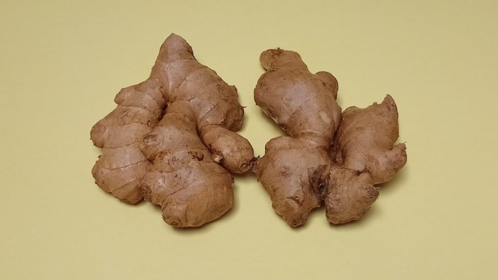 Photo Ginger plant