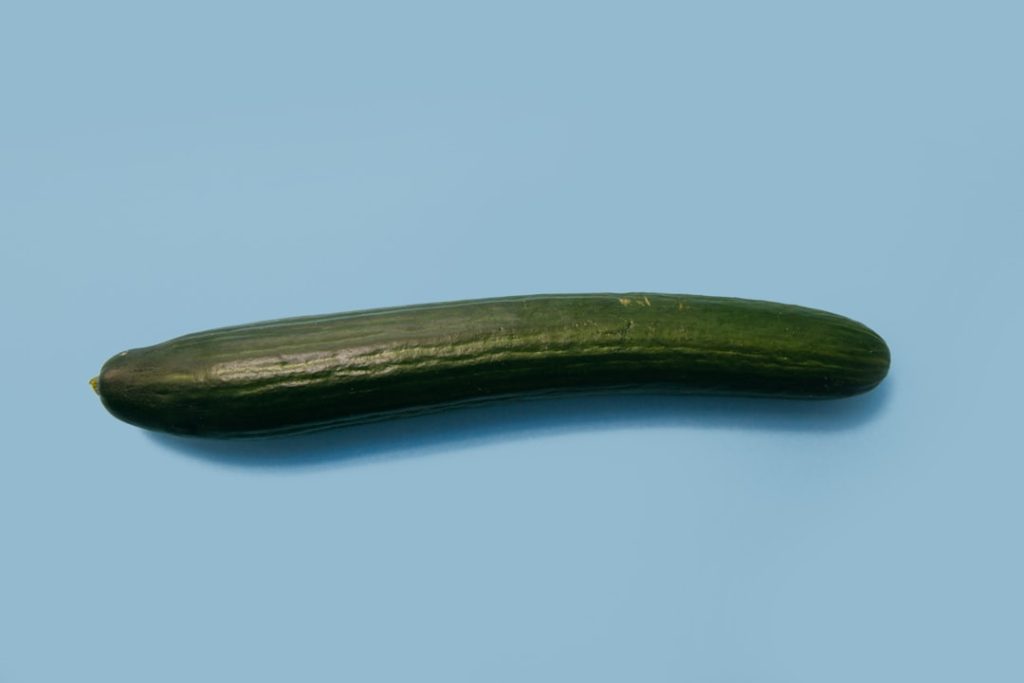 Photo Cucumber plant