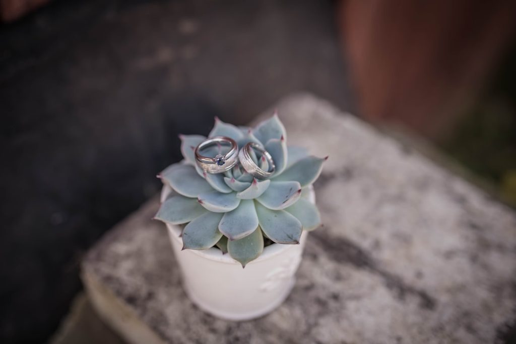 Photo Eggplant pot