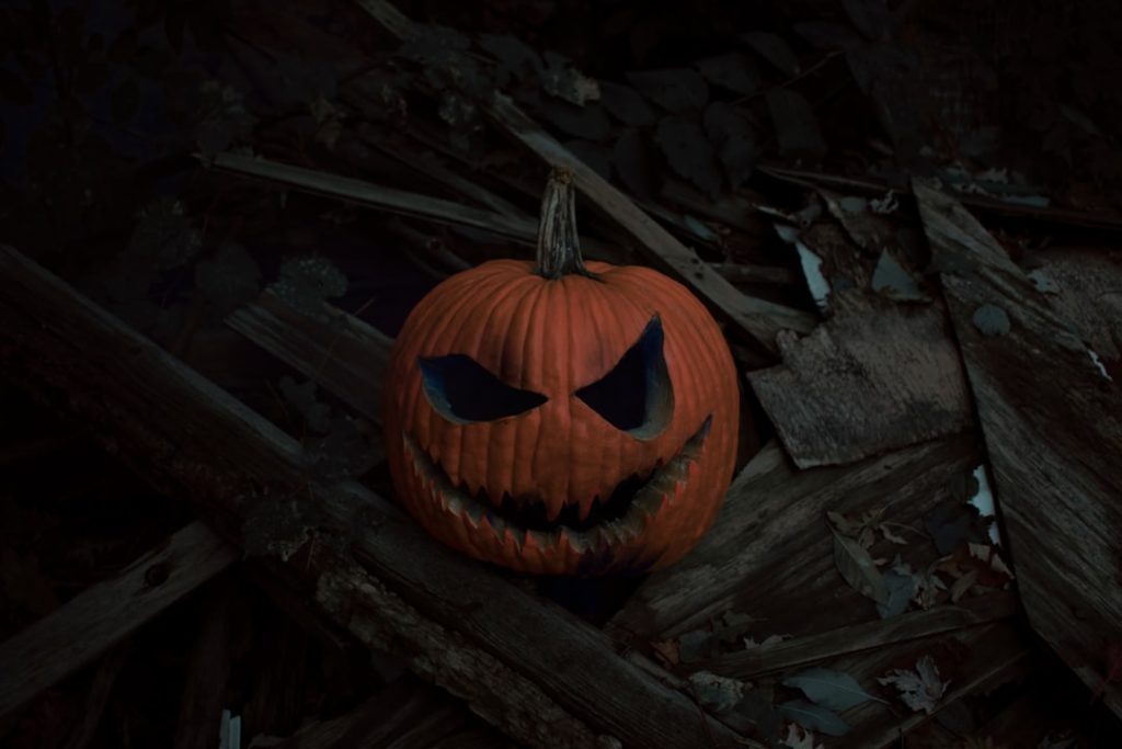 Photo Pumpkin harvest