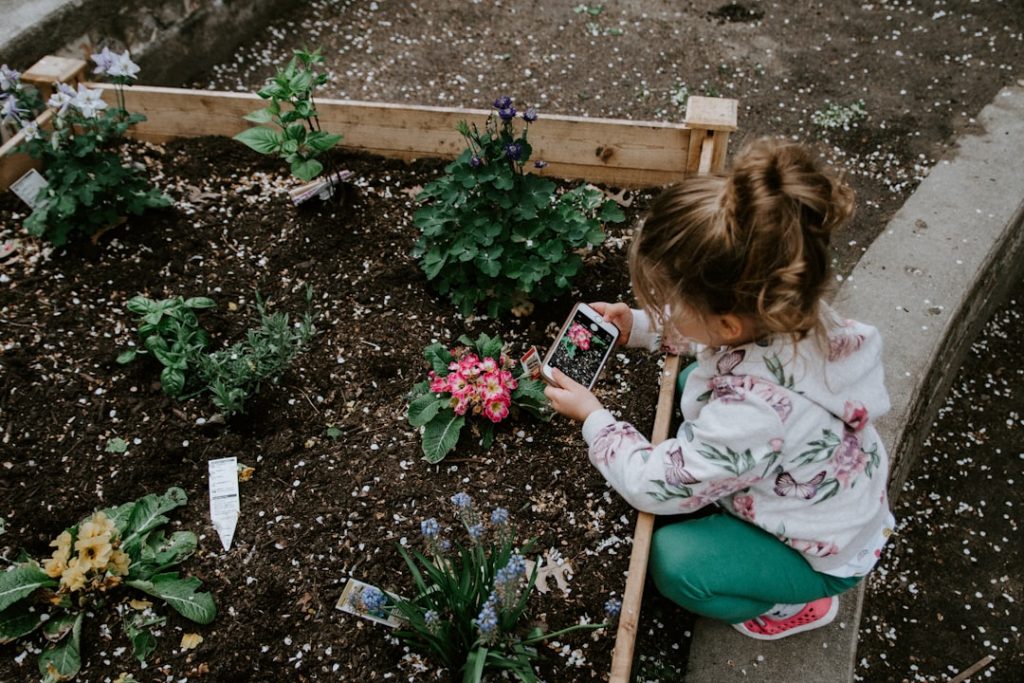 Photo Garden calendar