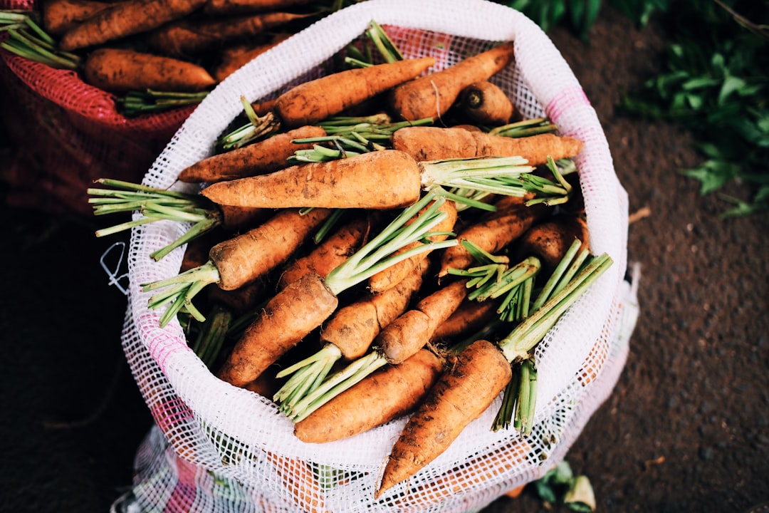 Photo Carrots: Harvesting