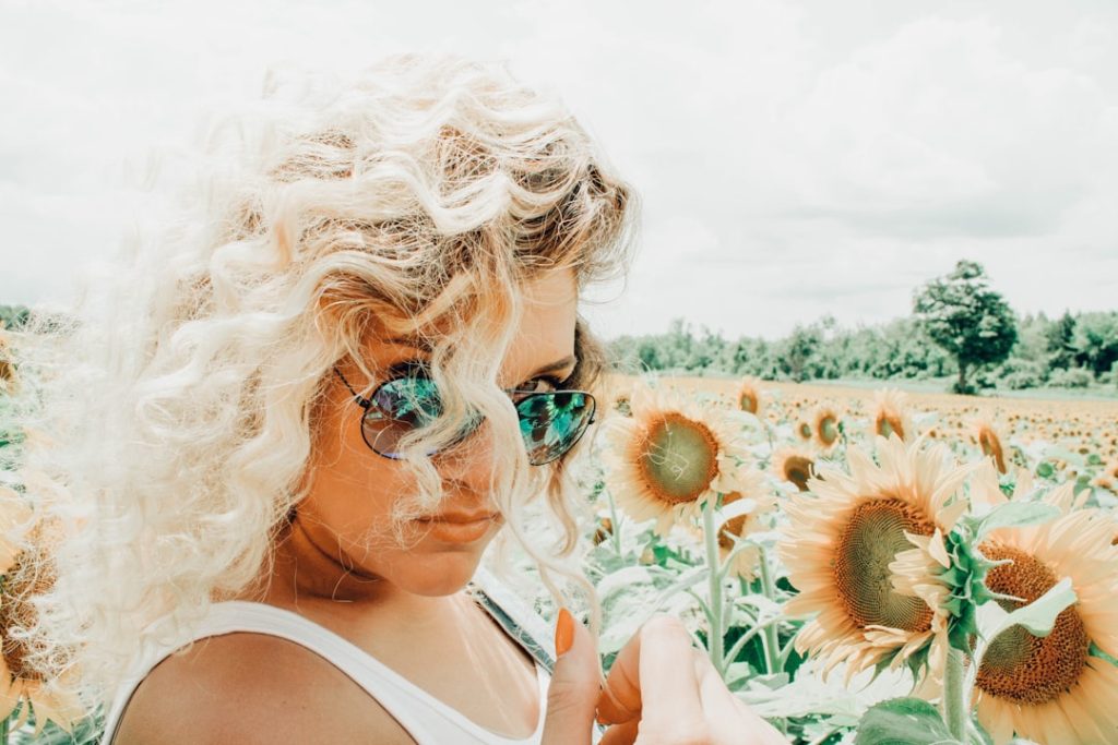 Photo Sunflower head