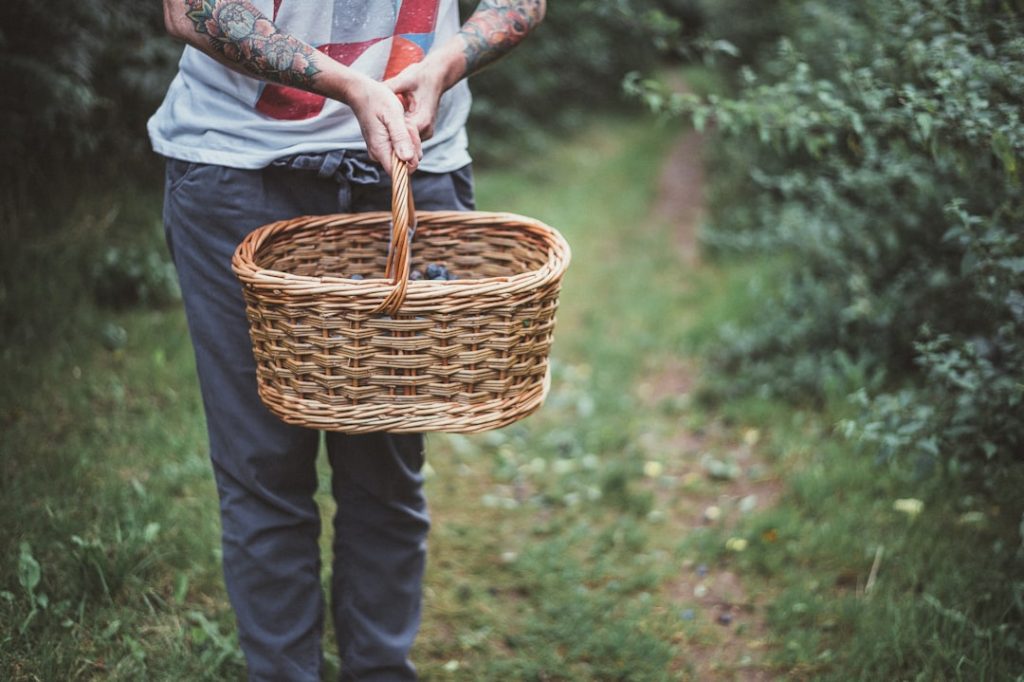 Photo Petunia basket