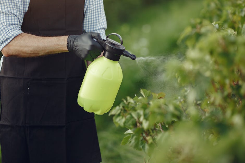 Image of a person watering a tree with proper soil care, emphasizing the importance of tree sustainability